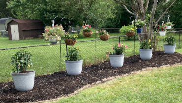 Indianapolis Lanscaping Renovation