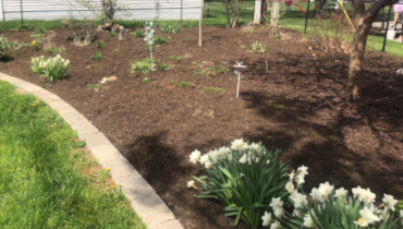 mulching Indianapolis